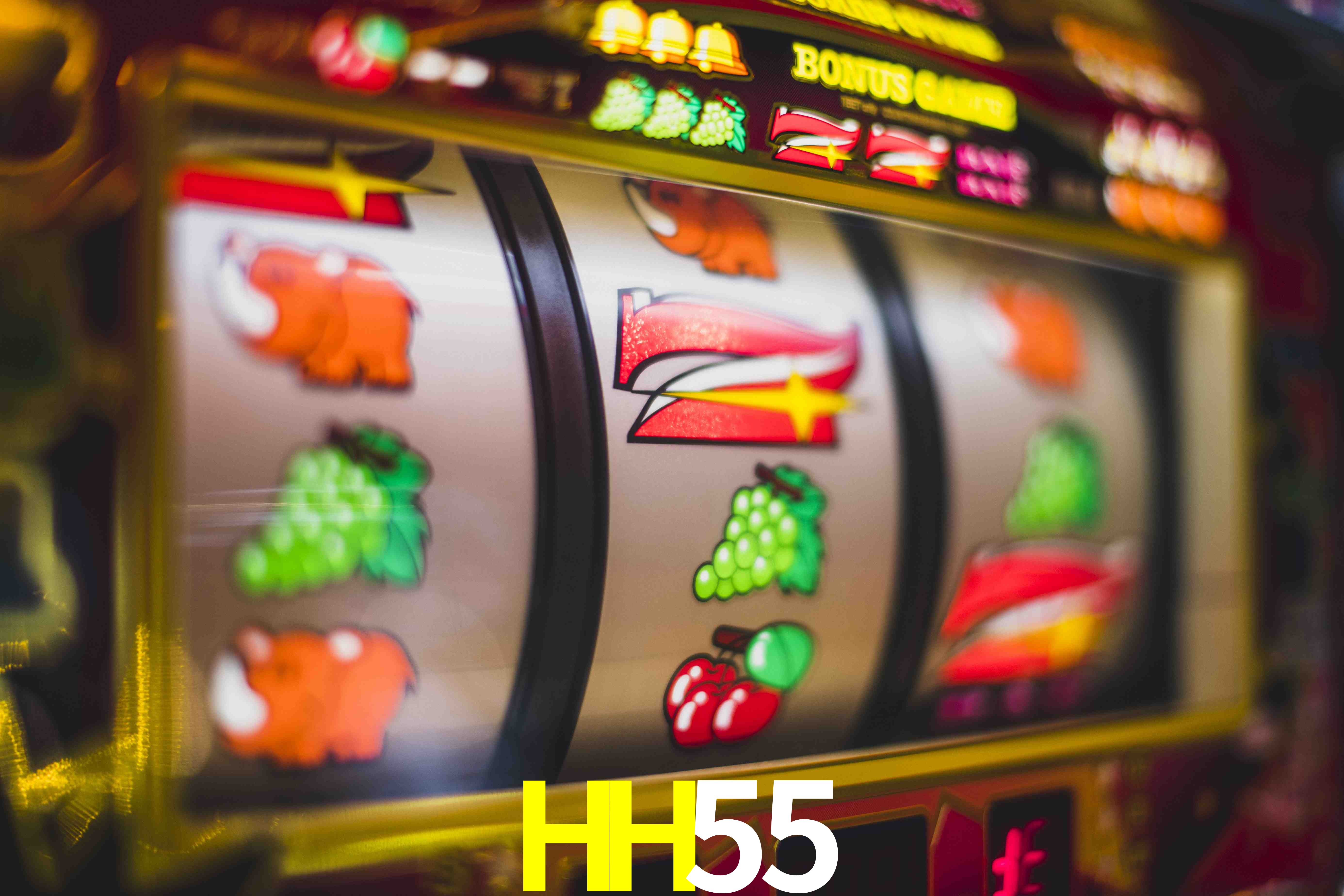 VIP Casino HH55